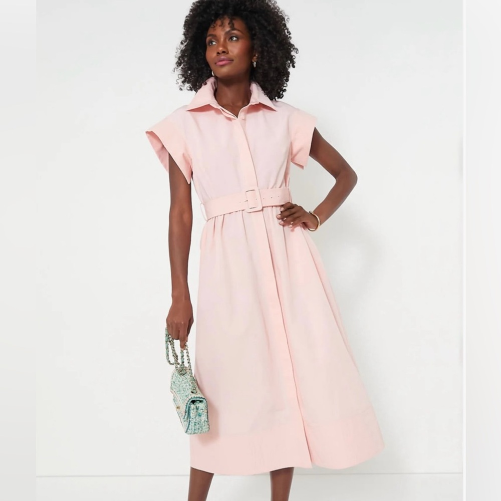 Elegant Pink Belted Dress